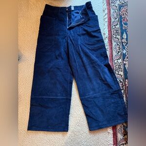 Everlane navy corduroy gardener pants